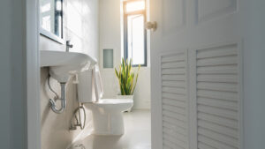 The Benefits of Installing Low-Flow Toilets This Winter